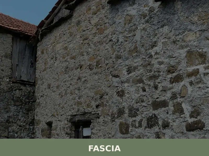 Fascia