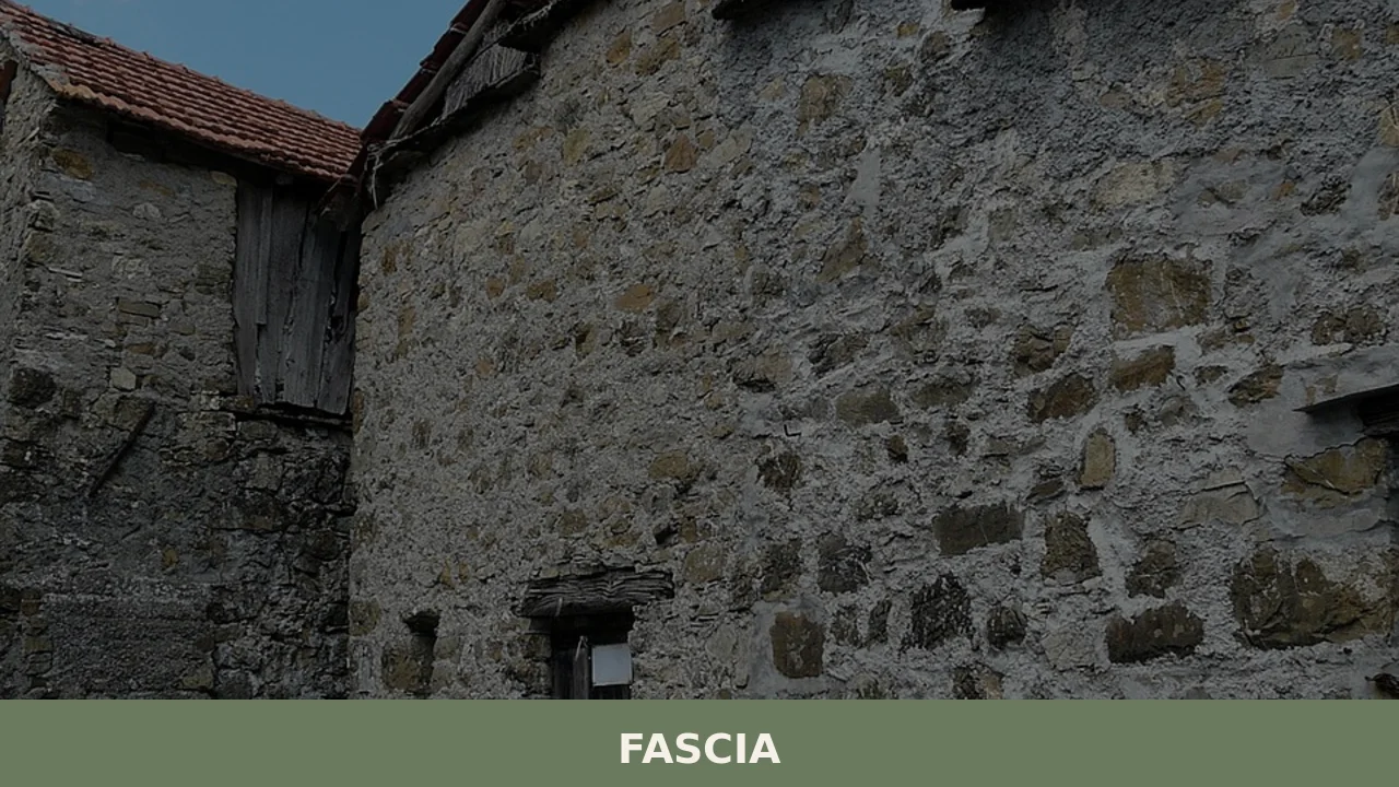 Fascia