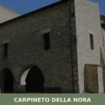 Carpineto della Nora
