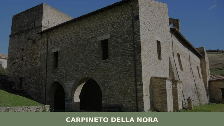 Carpineto della Nora