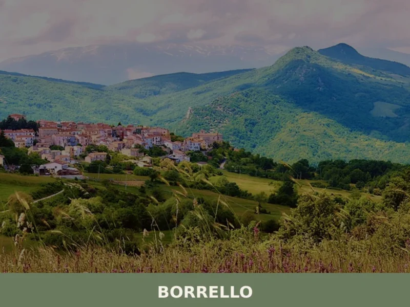 Borrello