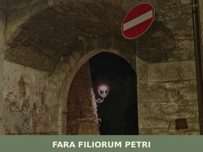 Fara Filiorum Petri