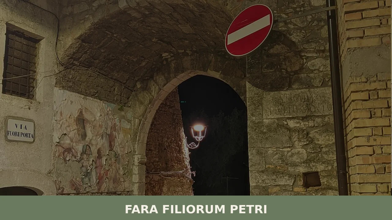Fara Filiorum Petri