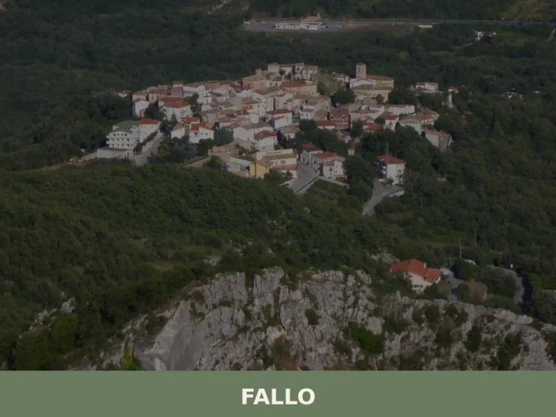 Fallo