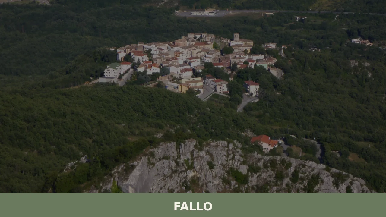 Fallo