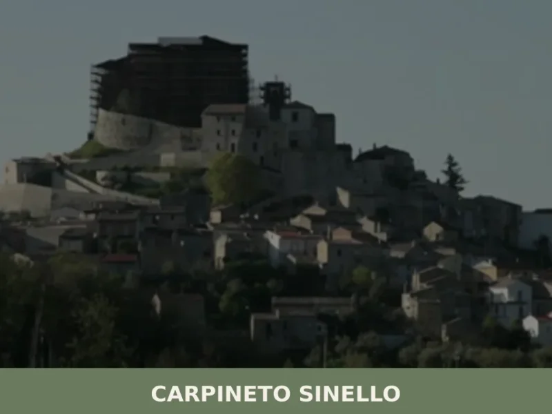 Carpineto Sinello