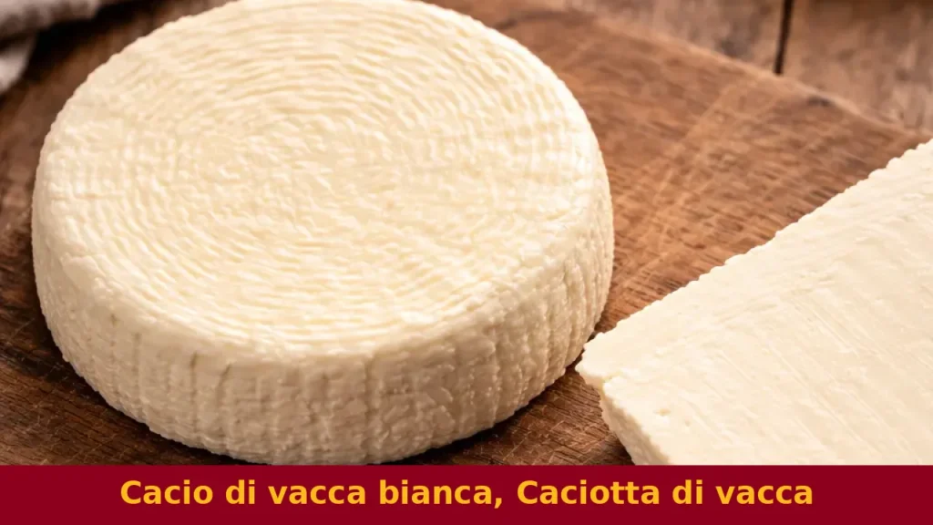 Cacio di vacca bianca, Caciotta di vacca