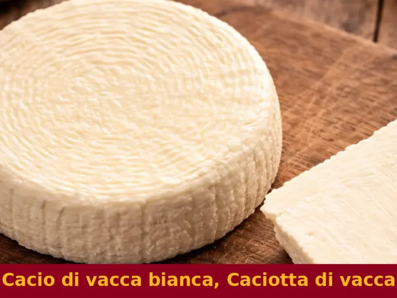 Cacio di vacca bianca, Caciotta di vacca