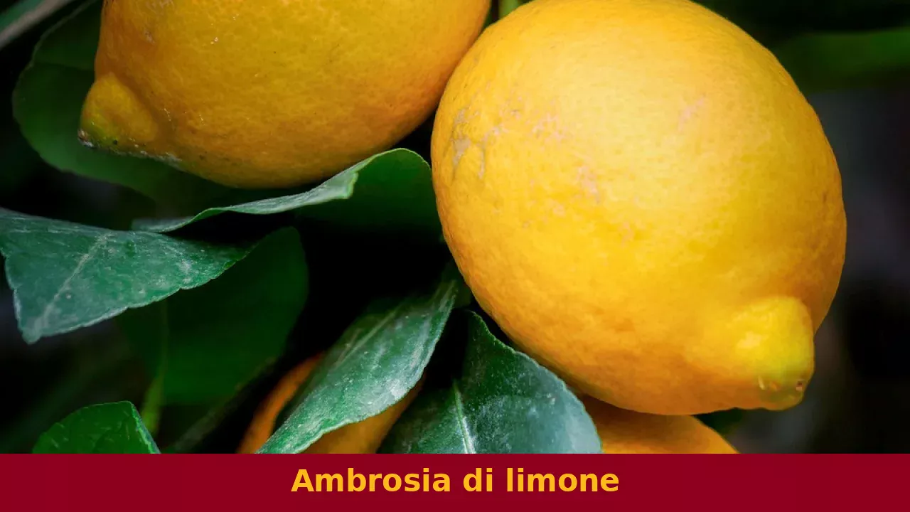 Ambrosia di limone