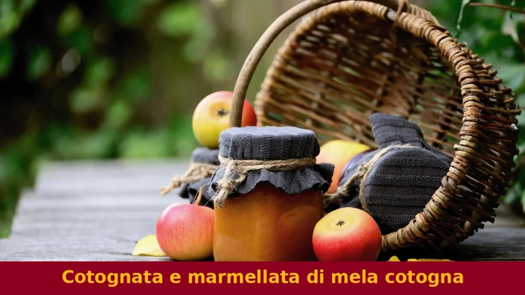 Cotognata e marmellata di mela cotogna