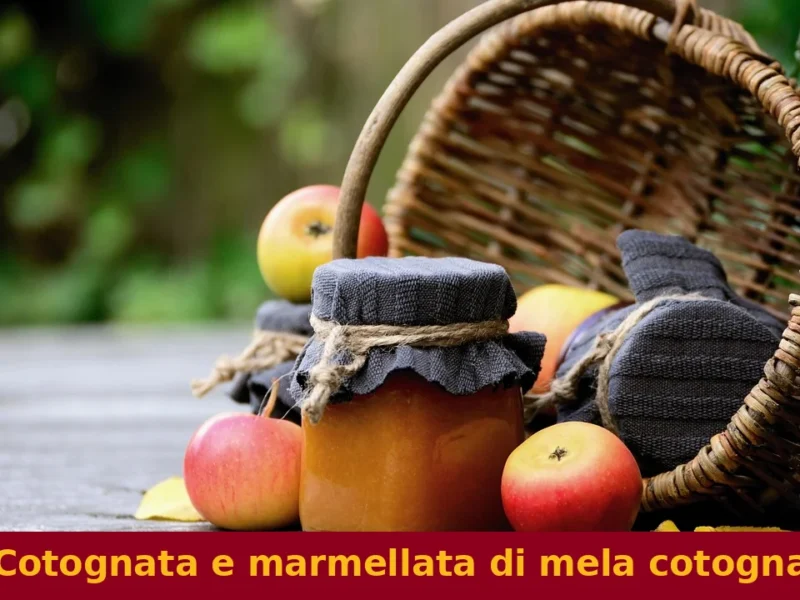 Cotognata e marmellata di mela cotogna
