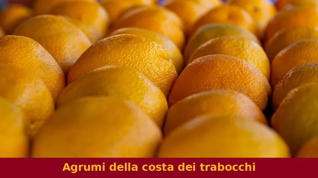 Agrumi della costa dei trabocchi