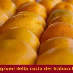 Agrumi della costa dei trabocchi