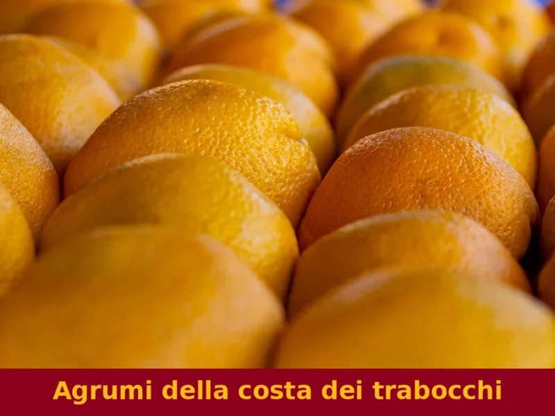 Agrumi della costa dei trabocchi