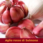 Aglio rosso di Sulmona