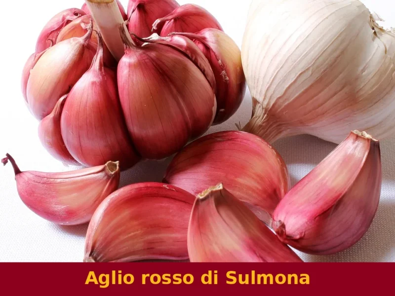 Aglio rosso di Sulmona
