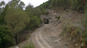 Godrano