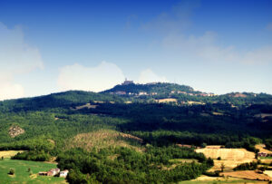 Farini