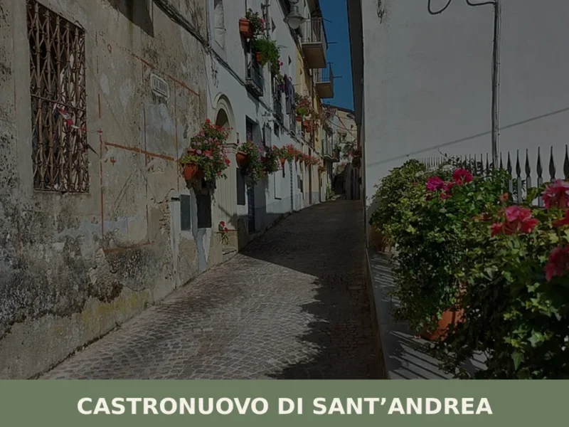 Castronuovo di Sant’Andrea