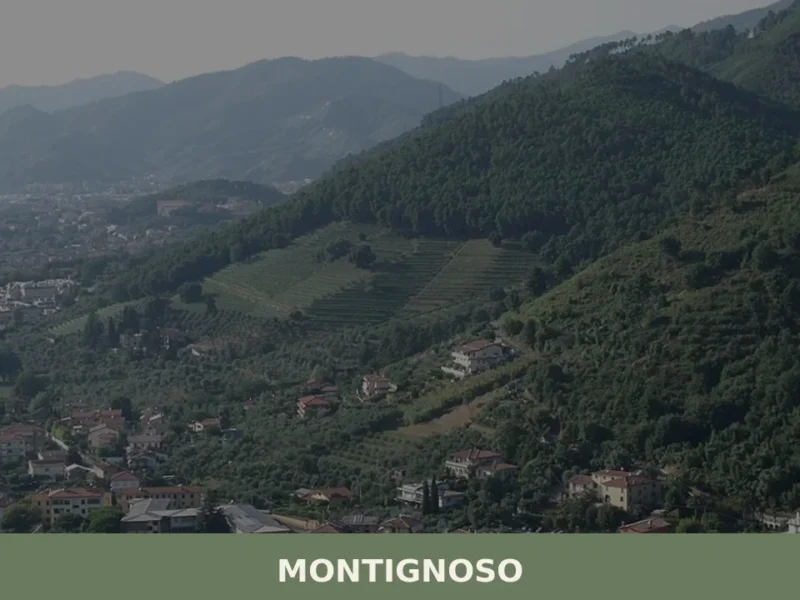 Montignoso