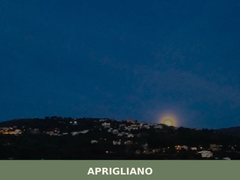 Aprigliano