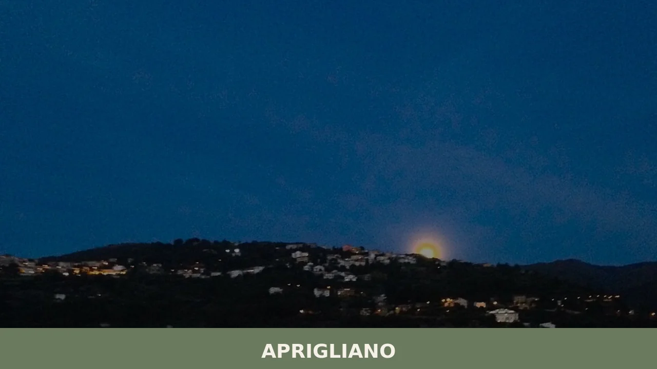 Aprigliano