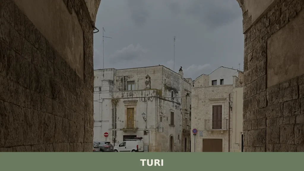Turi