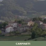 Carpineti
