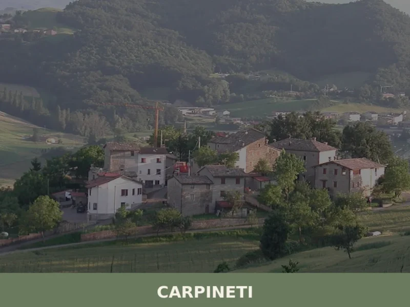 Carpineti