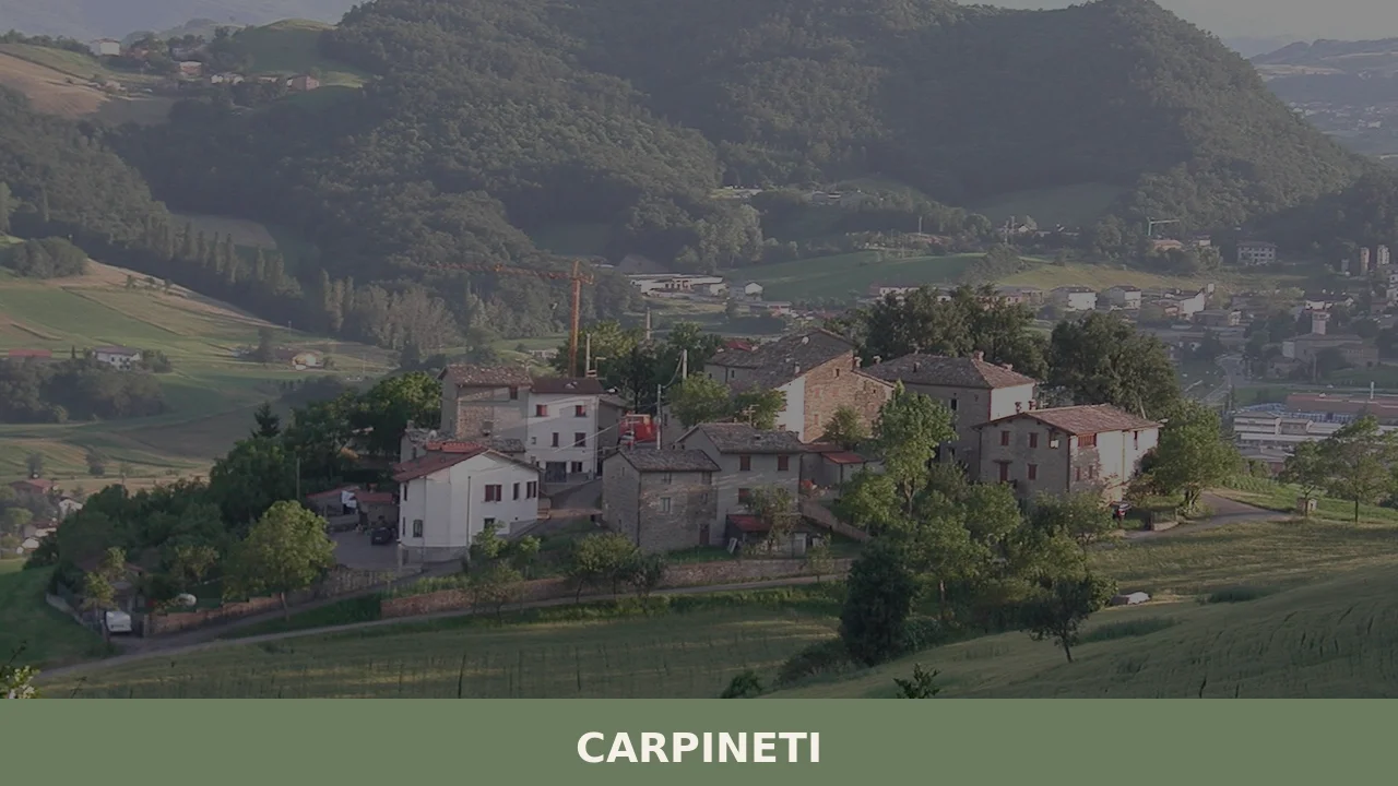 Carpineti