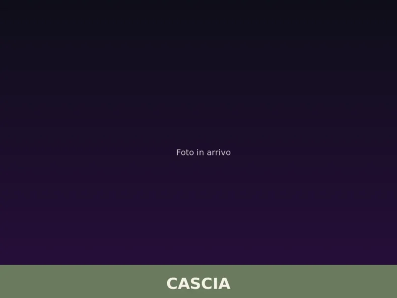 Cascia