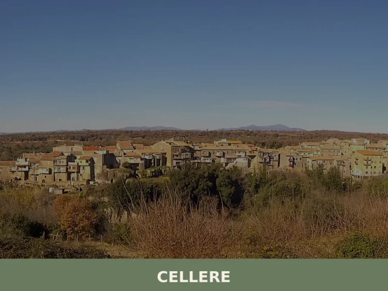 Cellere