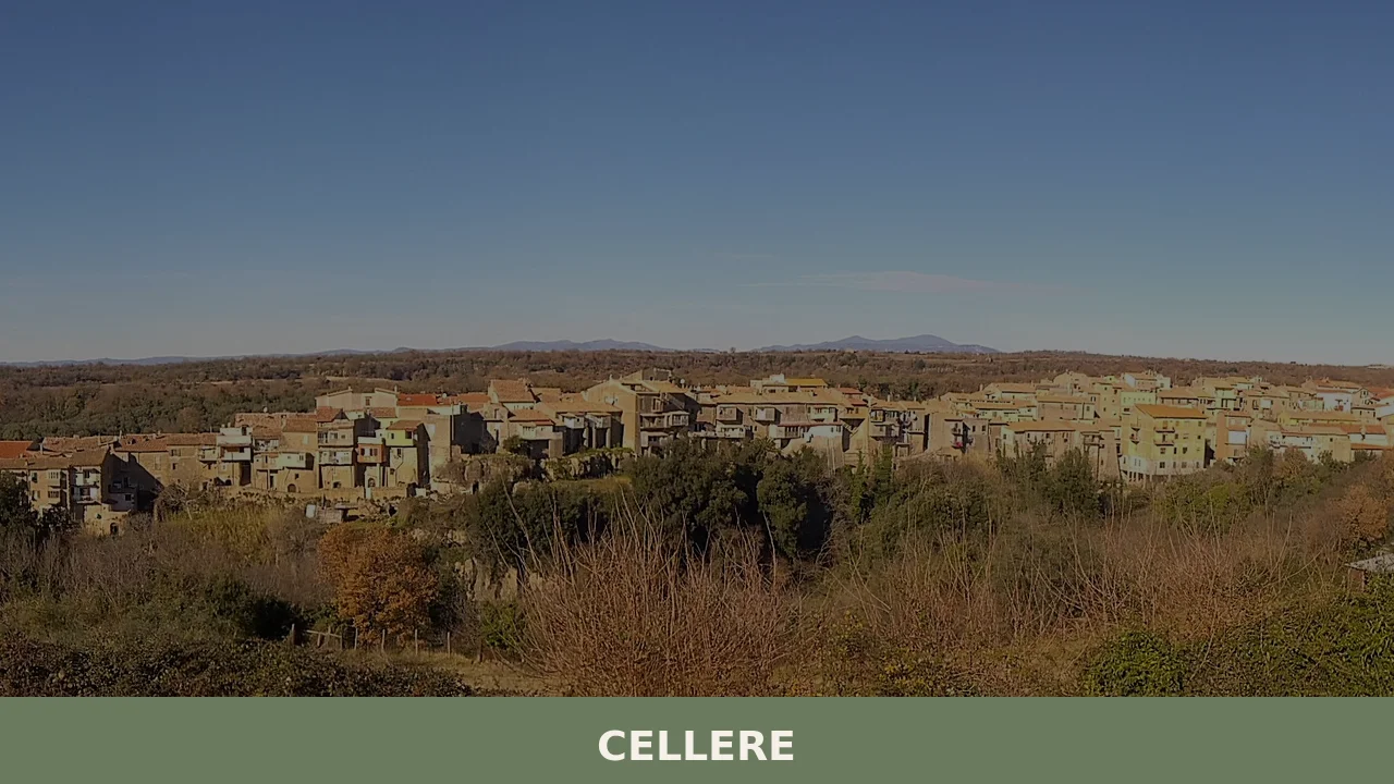 Cellere