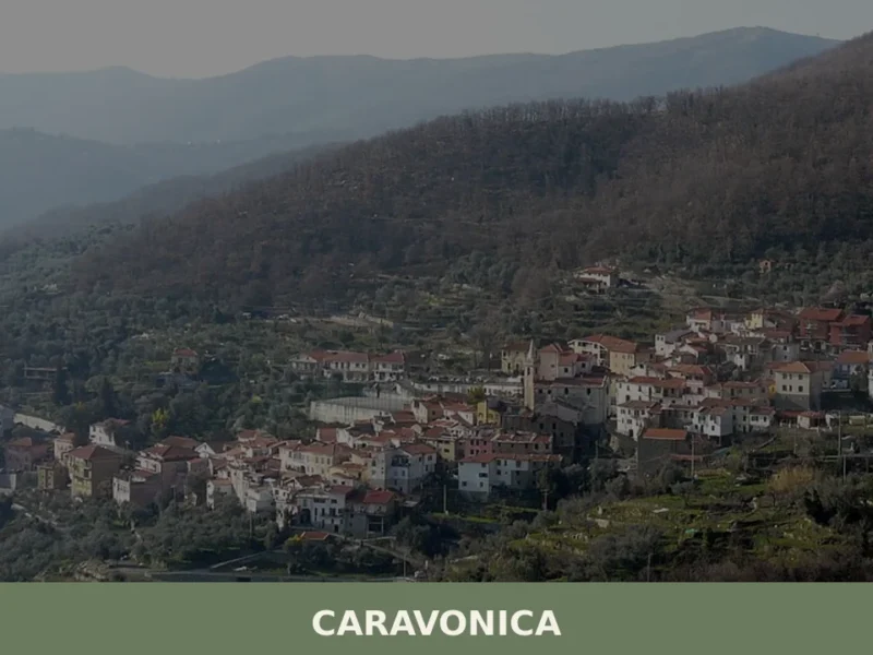 Caravonica