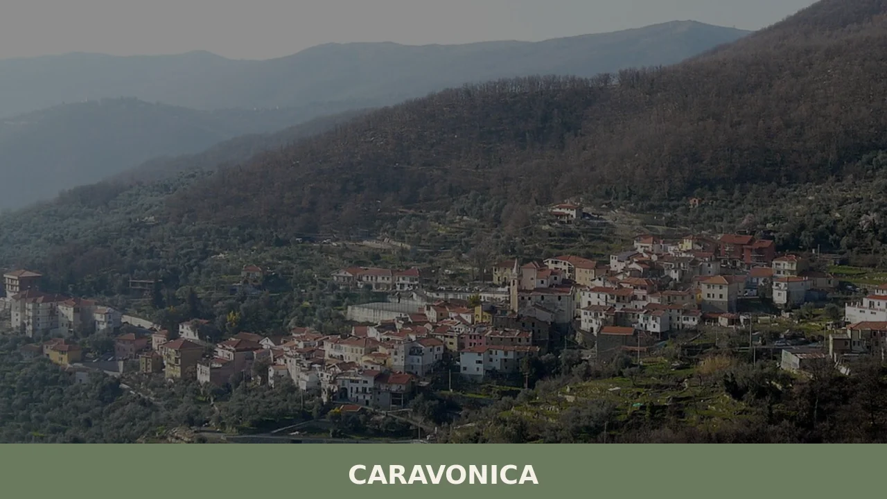 Caravonica