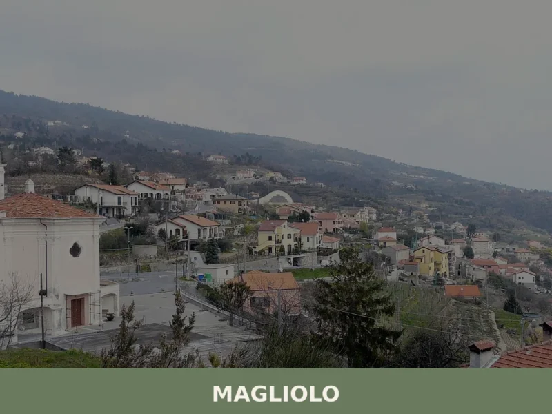 Magliolo