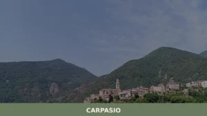 Carpasio