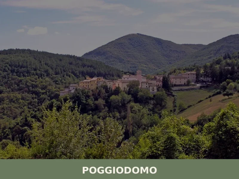 Poggiodomo