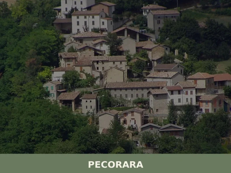 Pecorara