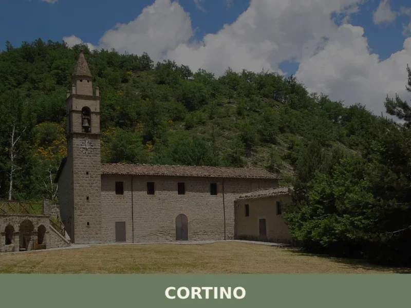 Cortino