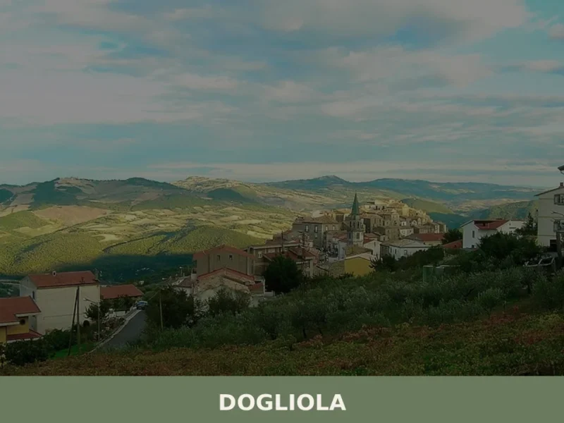 Dogliola