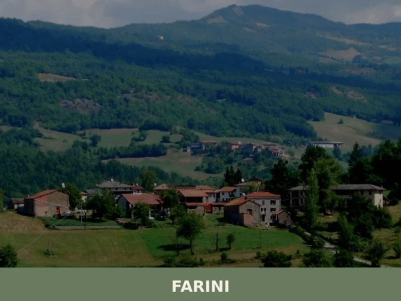 Farini