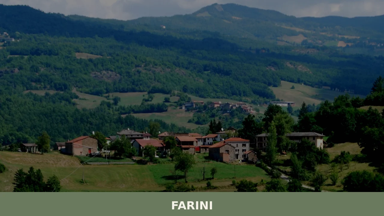 Farini