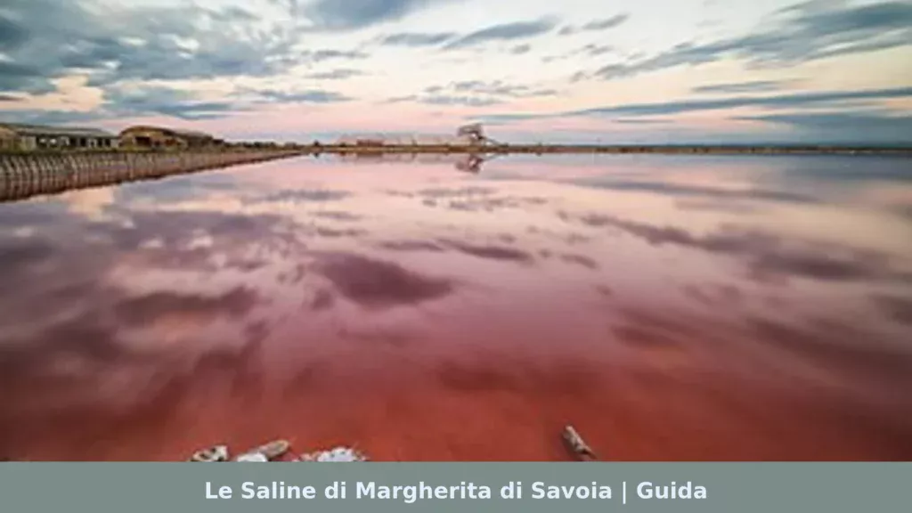 Le Saline di Margherita di Savoia | Guida