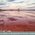 Le Saline di Margherita di Savoia | Guida