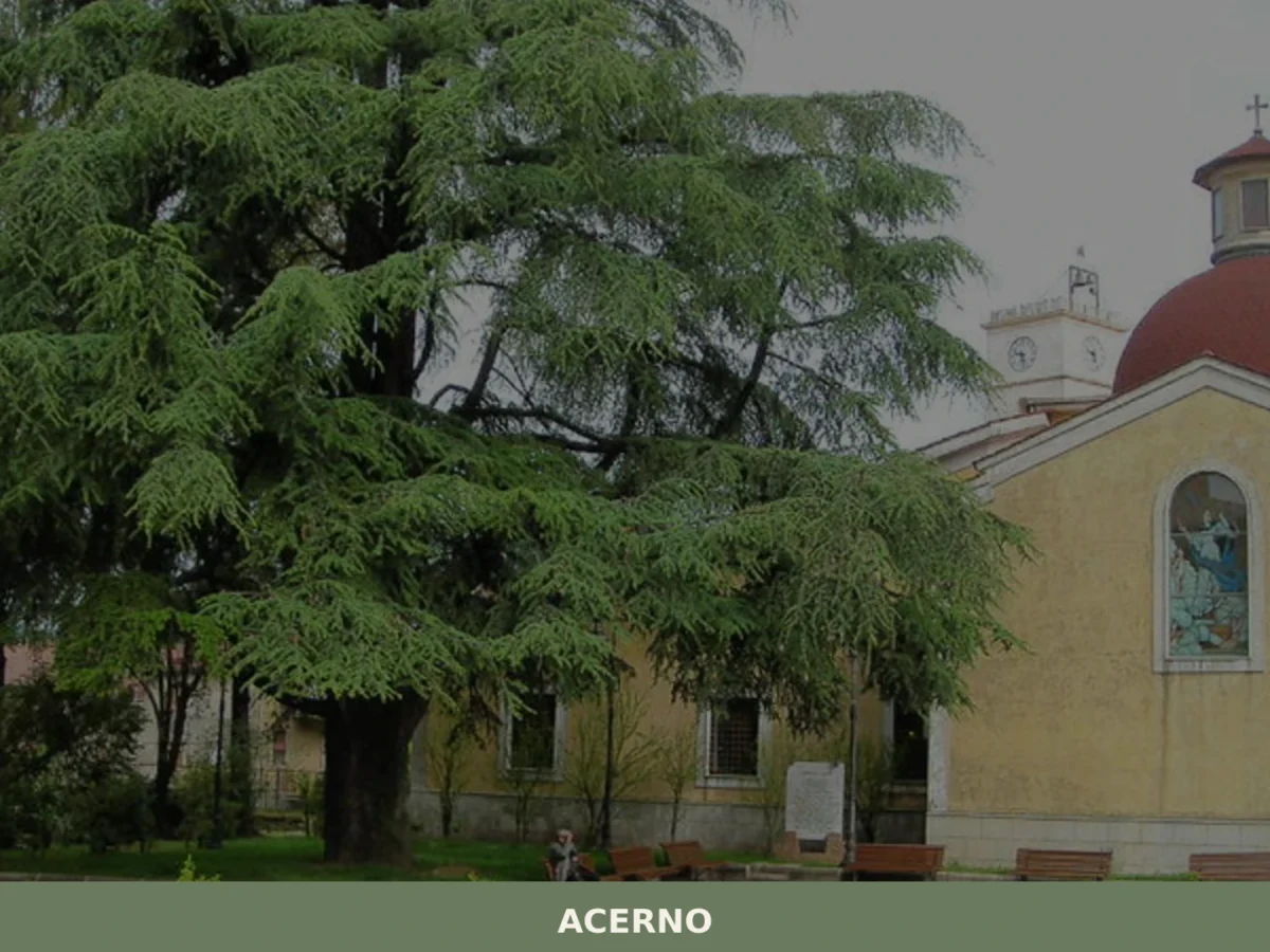 Acerno