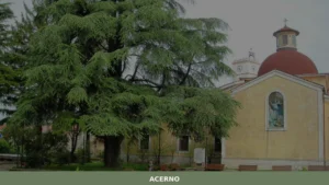 Acerno