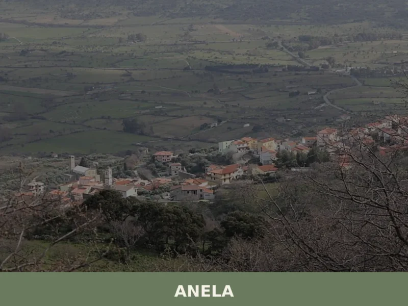 Anela
