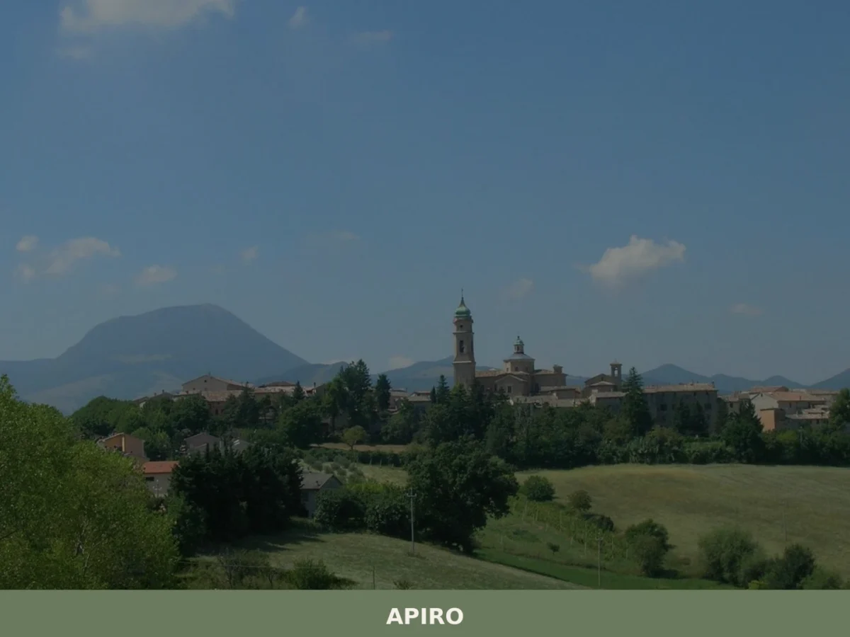 Apiro
