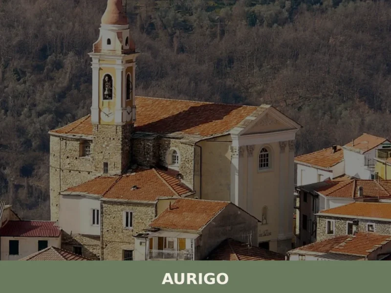 Aurigo